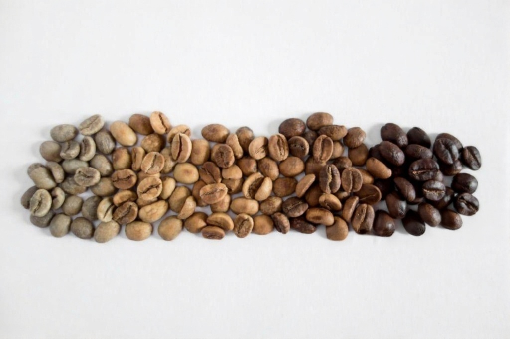 Cameroon Robusta coffee beans for commercial buyers