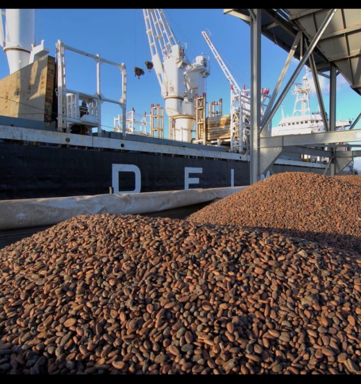 Robusta coffee export logistics